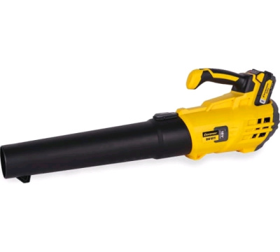 Champion BB1811 (c АКБ и ЗУ)