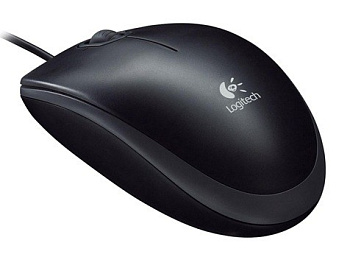 Logitech B100 (910-003357) ЧЕРНЫЙ 800 USB (2КНОПКИ)