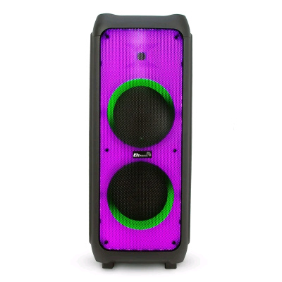 ELTRONIC 20-53 FIRE BOX 800/1200 динамик 2шт 10"