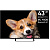 Topdevice TDTV43CS03U BK