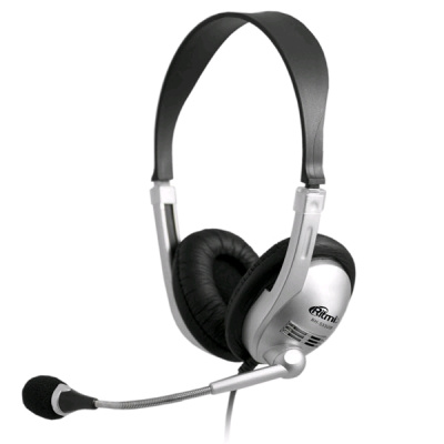 Ritmix RH-533USB Silver