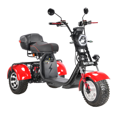 White Siberia Pro Trike 3000W на колесах Allroad