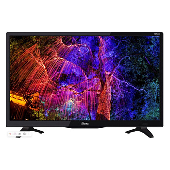 SCOOLE SL-LED24S90T2