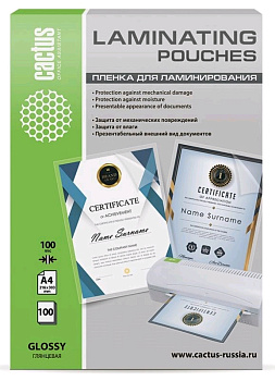 Cactus 100мкм A4 (100шт) глянцевая 216X303мм CS-LPGA4100100