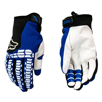 Fox #12 Blue (M)