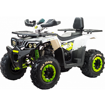 Motoland 200 WILD TRACK LUX (баланс. вал) (арт.15313)