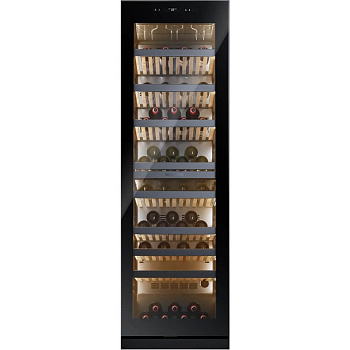 Casarte CASWS170GDAI