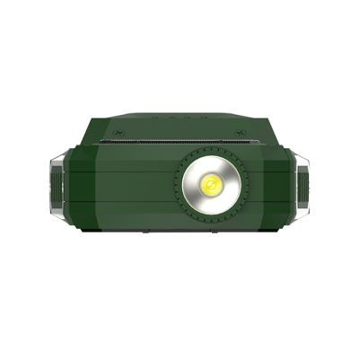 Maxvi P100 green