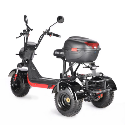 White Siberia Trike Mini Black 1500W