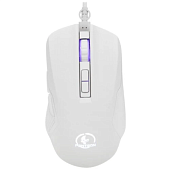 Jet.A Panteon MS84 White (116)
