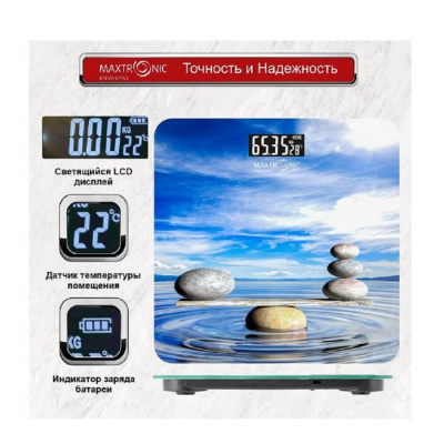 MAXTRONIC MAX-2601