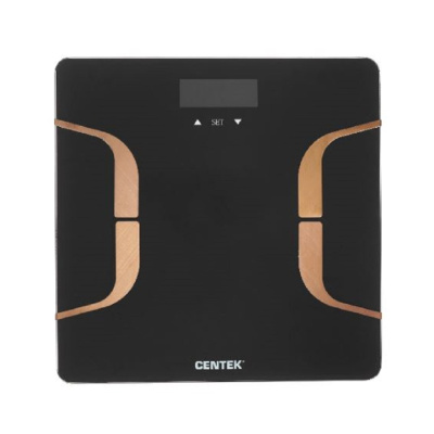 Centek CT-2431