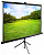 Cactus 150x200см TriExpert CS-PSTE-200x150-BK 4:3 напольный рулонный черный Экран