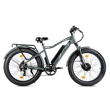 Eltreco BigCat Dual Next серебристый матовый