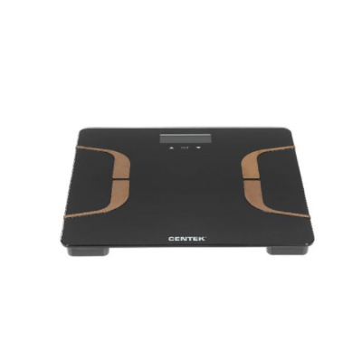 Centek CT-2431
