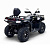 Bizon YK450A EFI Инжектор, Водяное охлаждение, Привод 4х4, Лебедка (ПТС) (Серый)