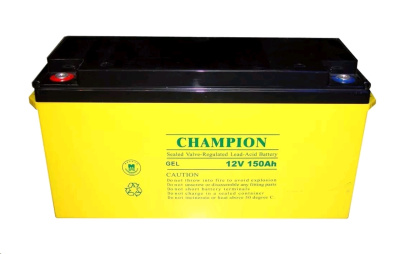 Champion 12 V