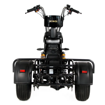 Ikingi X1 PRO TRIKE