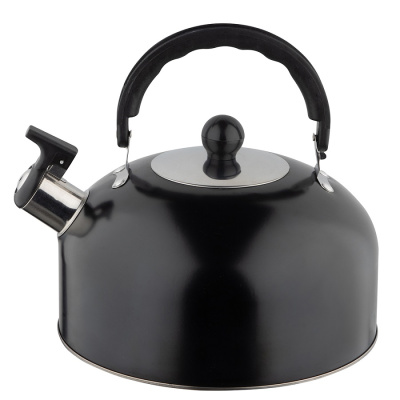 Чайник со свистком Casual 2.7л нержавеющая сталь черный