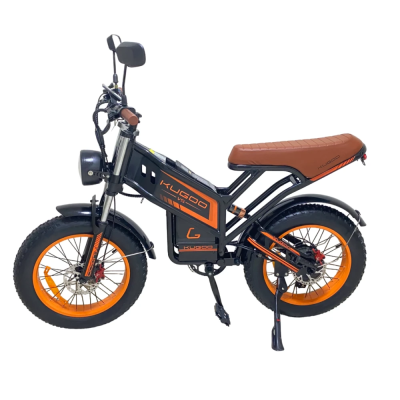 Kugoo Kirin V5 750W 48V 20Ah