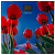 HOMESTAR HS-6001I