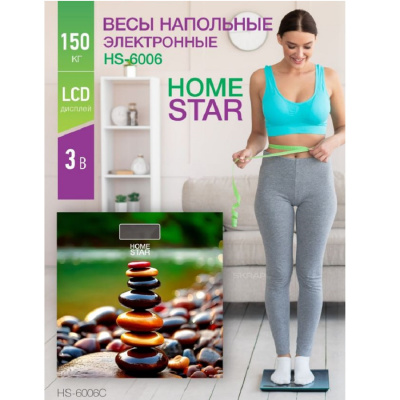 HomeStar HS-6006С