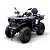 Bizon YK250 LUX EFI Инжектор (с ПТС) Серый