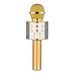 Belsis MA3001GD с Bluetooth золотой Микрофон