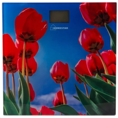 HOMESTAR HS-6001I