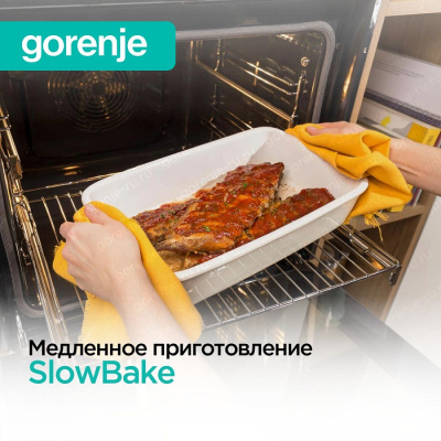 GORENJE BSA6747DGWI