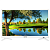 Asano 24LH7011T  SMART TV