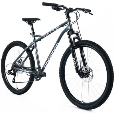 FORWARD FLASH CX 26 (8ск., 19") 2025, темно-серый/серебристый