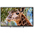 POLARLINE 43PL51TC SMART TV