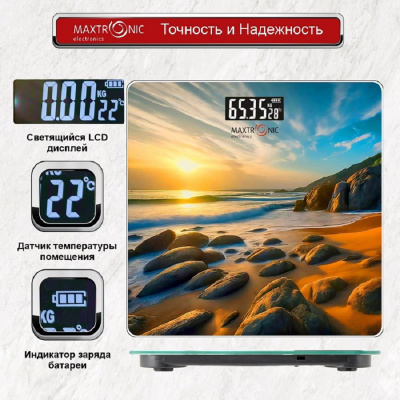 MAXTRONIC MAX-263