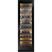 Casarte CASWS170GDAI
