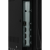 BLACKTON Bt 43F34B