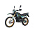 Roliz SPORT-005 ES, ZS172FMM-3A, 250cc, с ЭПТС. BLACK+GREEN