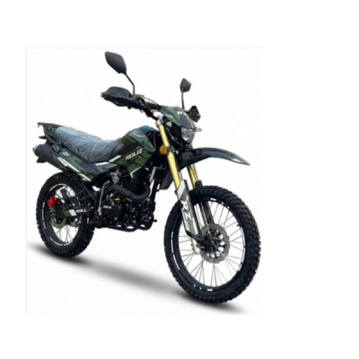 Roliz SPORT-005 *RS* (170FMN, CBB300Y, 300сс) 21/18 с ПТС. GREEN